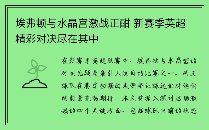 埃弗顿与水晶宫激战正酣 新赛季英超精彩对决尽在其中